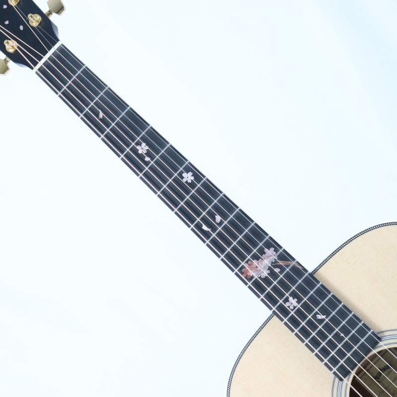 Headway HD-SAKURA’25/STD ヘッドウェイ 画像6