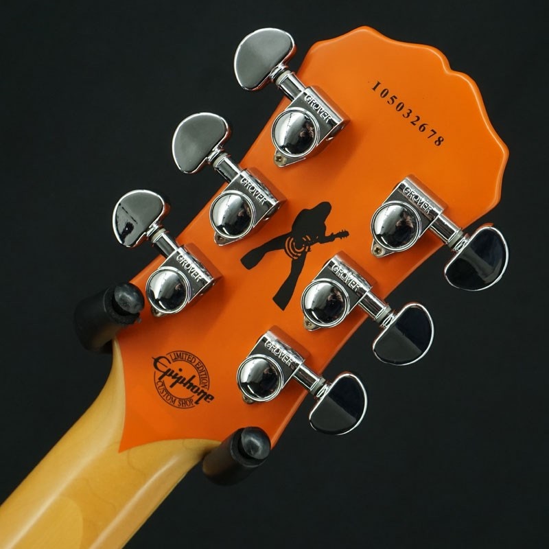 Epiphone ZAKK WYLDE 専用 ハードケース