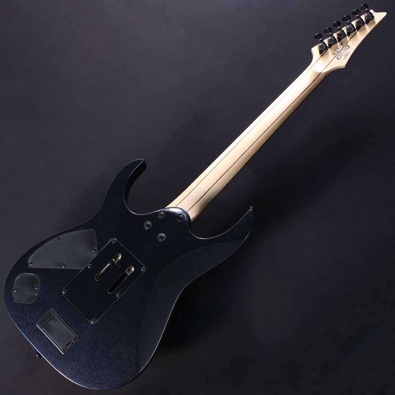 即日発送 Pewter) (Iron RGR6BSP-IPT Ibanez [Limited #I241204578 Model] ギター