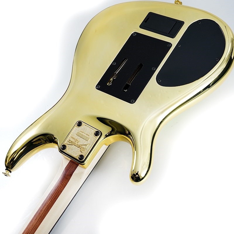 Ibanez JS1GD [Joe Satriani Model] SN.F2507443 画像6