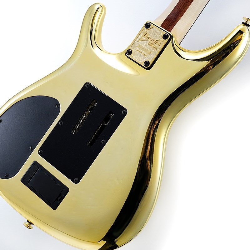 Ibanez JS1GD [Joe Satriani Model] SN.F2507443 画像7