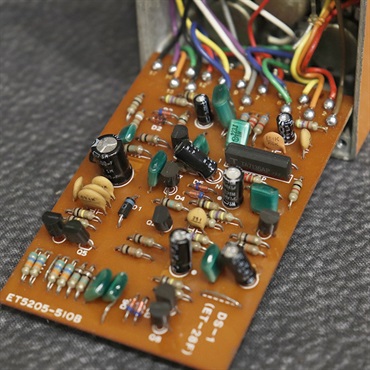 BOSS VINTAGE DS-1 Distortion '82 Black Screw 画像5
