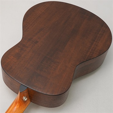 TAYLOR GT Urban Ash w/HiFi 【Special Model】 テイラー 画像5