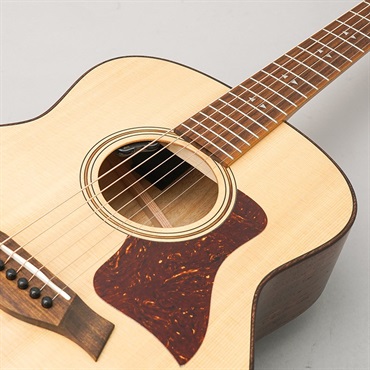 TAYLOR GT Urban Ash w/HiFi 【Special Model】 テイラー 画像6