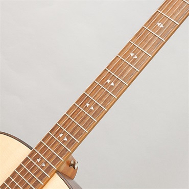 TAYLOR GT Urban Ash w/HiFi 【Special Model】 テイラー 画像8