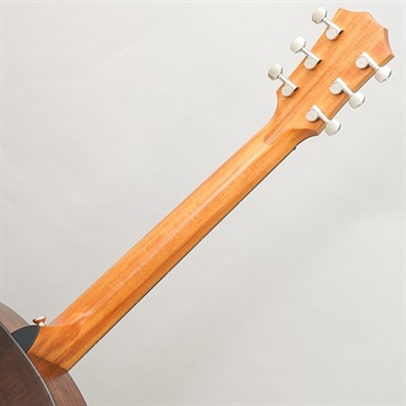 TAYLOR GT Urban Ash w/HiFi 【Special Model】 テイラー 画像10