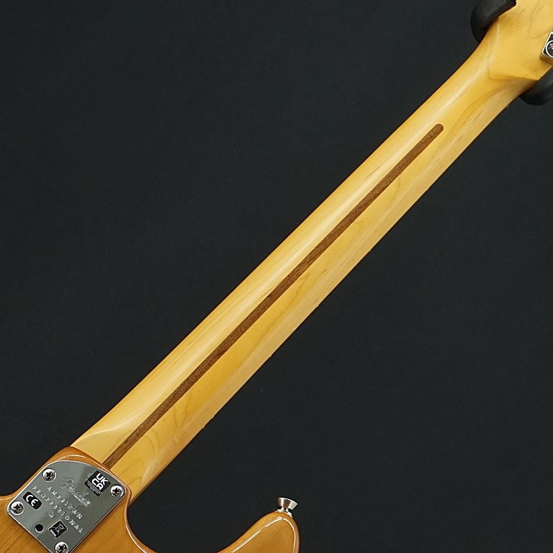 Fender USA 【USED】 American Professional II Stratocaster