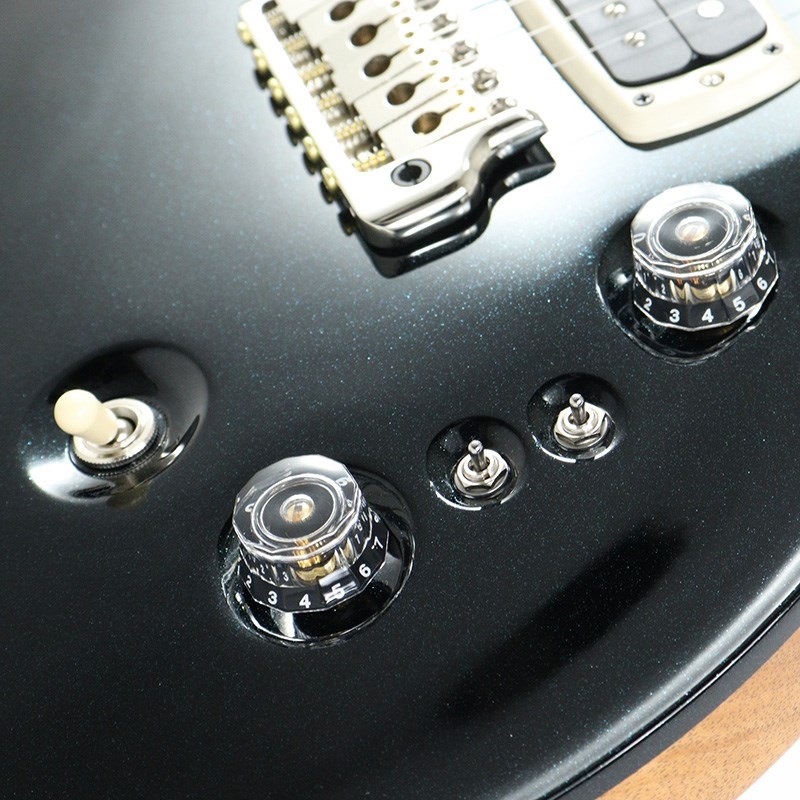 P.R.S. Custom 24-08 (Custom Color) [SN.0395766] 【2024年生産モデル】 画像5