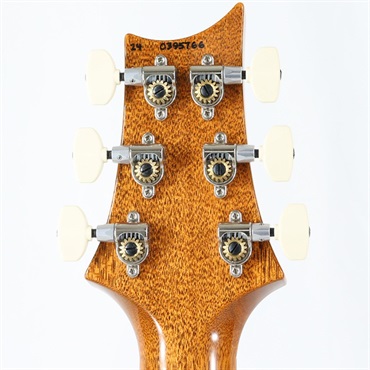P.R.S. Custom 24-08 (Custom Color) [SN.0395766] 【2024年生産モデル】 画像9