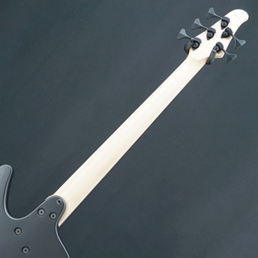 DINGWALL 【USED】 D-Roc Standard 5strings (Matte Metallic Black) 画像5