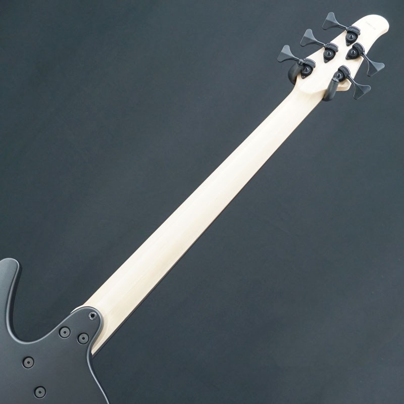 DINGWALL 【USED】 D-Roc Standard 5strings (Matte Metallic Black) 画像5
