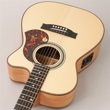 ミッチー⑅⃛ MATON 【店頭チョイキズ特価！】EBG808C MF -Michael Fix