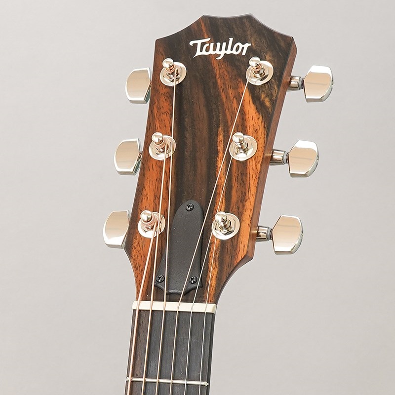 TAYLOR 414ce Studio Natural テイラー |イケベ楽器店 TAYLOR 414ce Studio Natural テイラー |イケベ楽器店