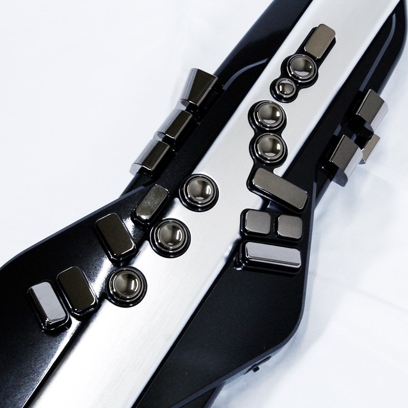 Roland 【USED】AE-30 Aerophone Pro 画像1