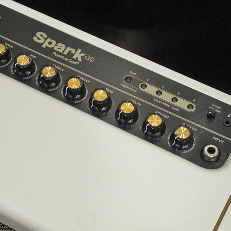 Positive Grid 【USED】Spark Pearl + Amp Bag for Spark 画像2