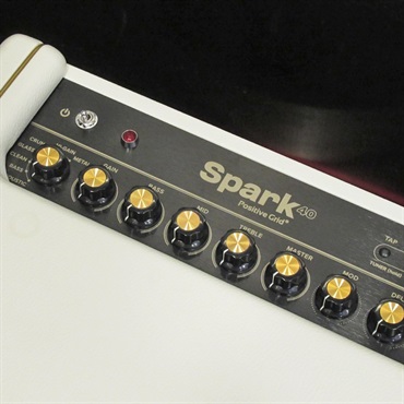 Positive Grid 【USED】Spark Pearl + Amp Bag for Spark 画像3