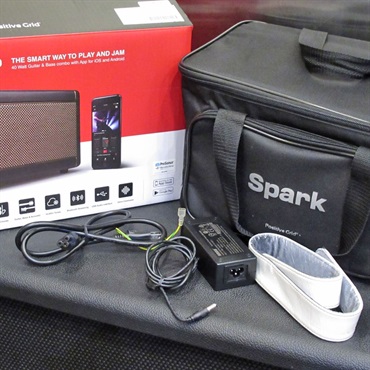 Positive Grid 【USED】Spark Pearl + Amp Bag for Spark 画像7