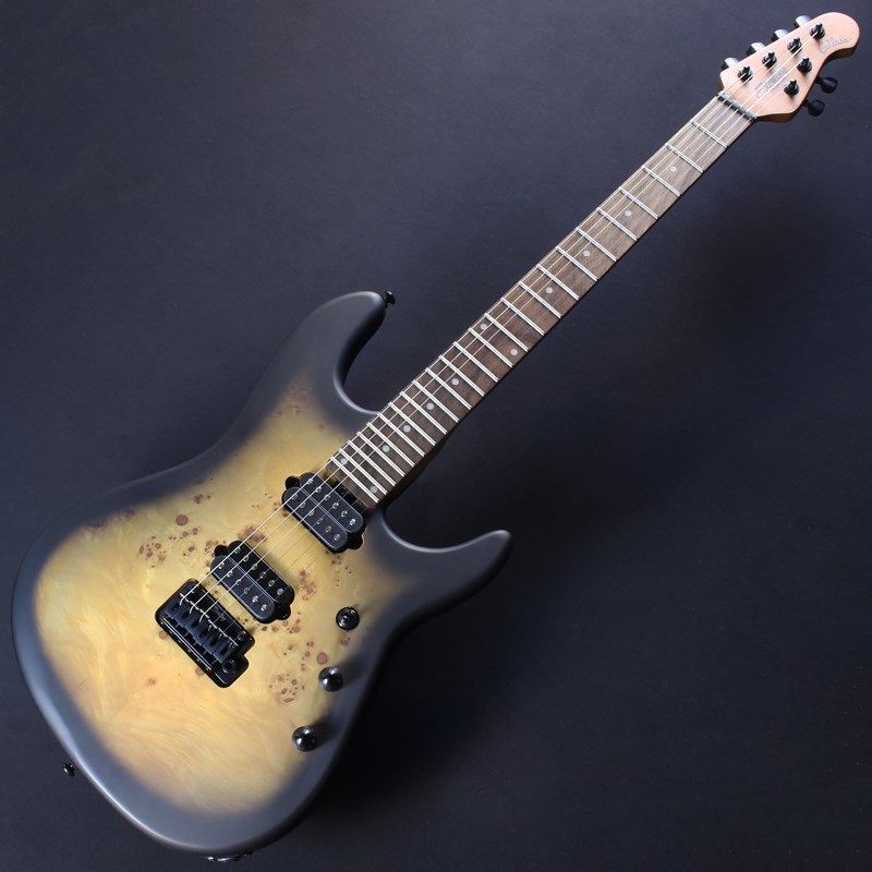 Sterling by MUSICMAN RICHARDSON6 (Natural Poplar Burl Burst)【キズあり特価】#SG46215 画像1