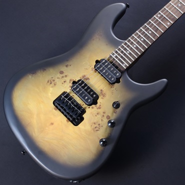 Sterling by MUSICMAN RICHARDSON6 (Natural Poplar Burl Burst)【キズあり特価】#SG46215 画像2