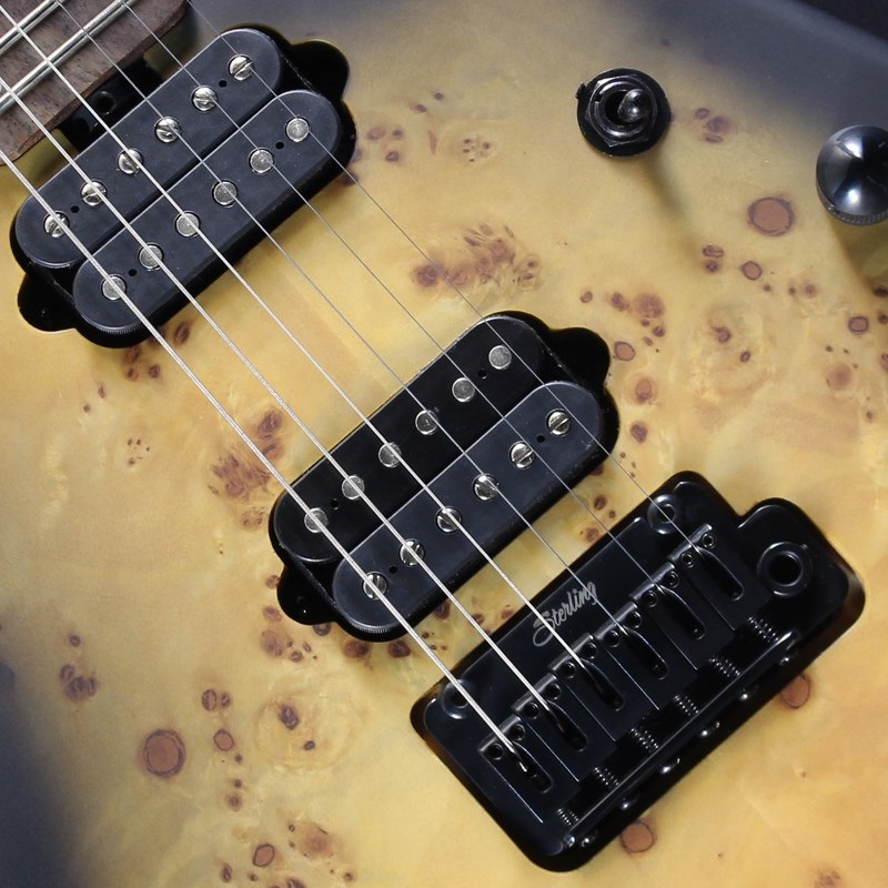 Sterling by MUSICMAN RICHARDSON6 (Natural Poplar Burl Burst)【キズあり特価】#SG46215 画像3