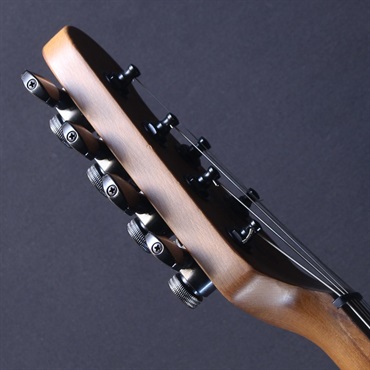 Sterling by MUSICMAN RICHARDSON6 (Natural Poplar Burl Burst)【キズあり特価】#SG46215 画像6
