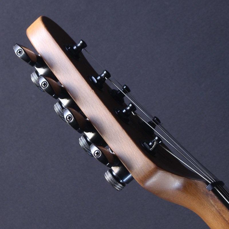 Sterling by MUSICMAN RICHARDSON6 (Natural Poplar Burl Burst