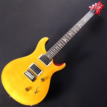 P.R.S. SE Custom 24 (Vintage Yellow) 画像1