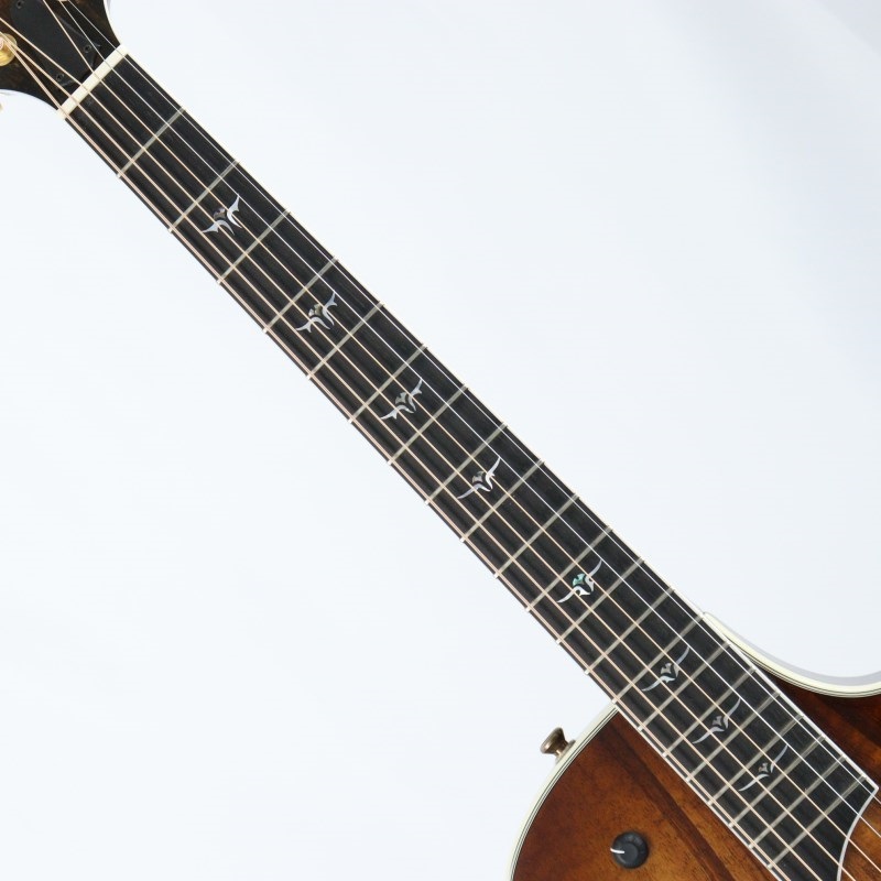 TAYLOR USED 中古 【緊急値下げ！！】 T5-C2 KOA ※2001年製 テイラー 【夏のボーナスセール】 画像6