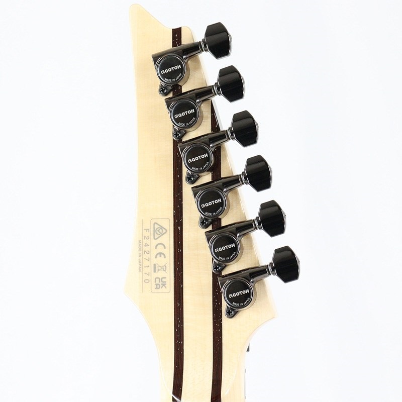 Ibanez j.custom RG8570-BSR (Brownish Sphalerite) [SPOT MODEL] 画像9