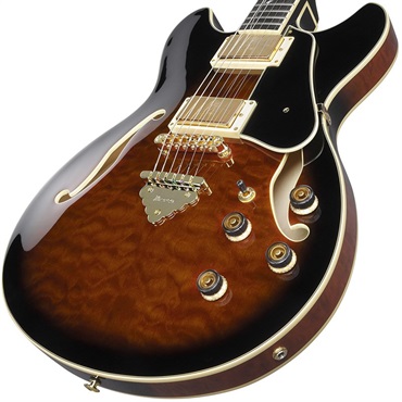 Ibanez Artcore Expressionist AS93QMSP-DBS (Dark Brown Sunburst) [SPOT MODEL] 画像2