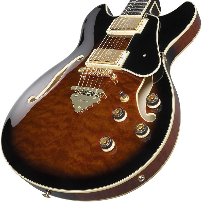 Ibanez Artcore Expressionist AS93QMSP-DBS (Dark Brown Sunburst) [SPOT MODEL] 画像2