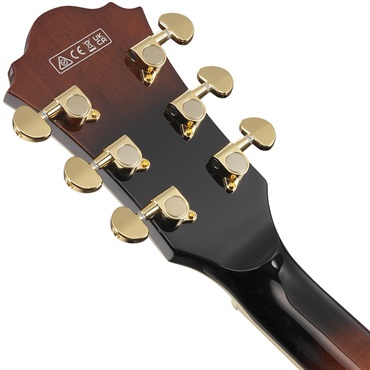 Ibanez Artcore Expressionist AS93QMSP-DBS (Dark Brown Sunburst) [SPOT MODEL] 画像5