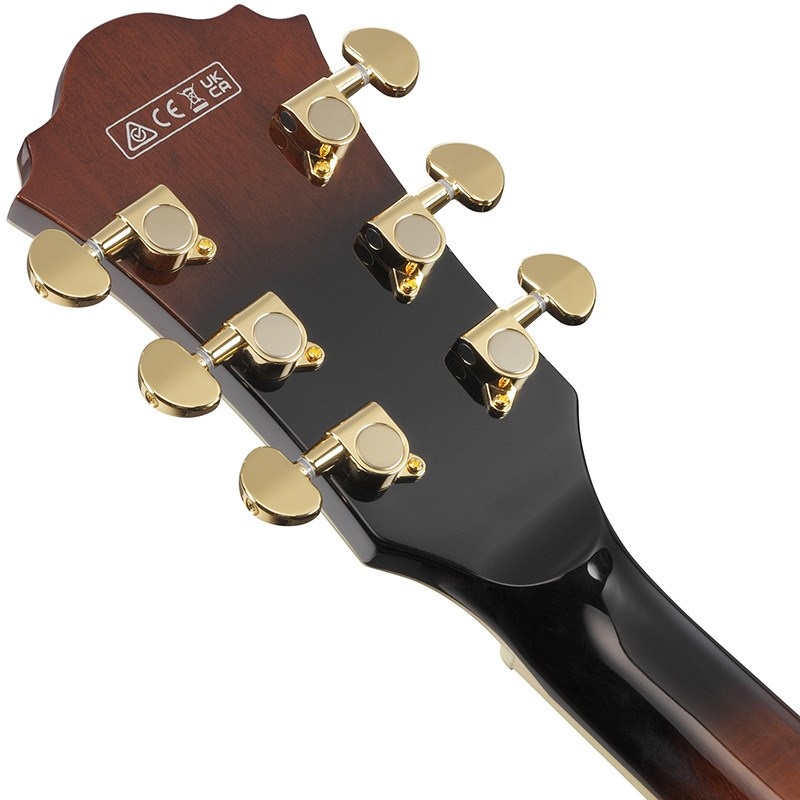 Ibanez Artcore Expressionist AS93QMSP-DBS (Dark Brown Sunburst) [SPOT MODEL] 画像5
