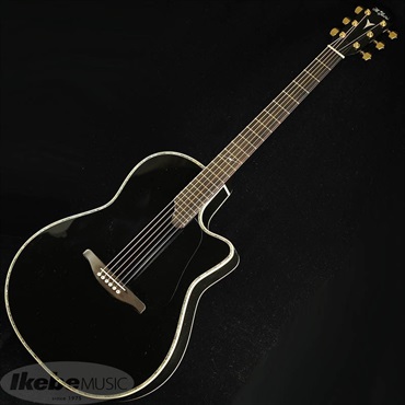 K.Yairi YD-88BK 【お取り寄せ】 Kヤイリ ｜イケベ楽器店