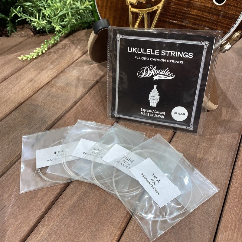 D'Angelico 【値下げ！！】【史上最大決算セール】【お得な10個セット】 ASU-MED-CL (クリア) ディアンジェリコ 画像1