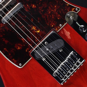 SCHECTER 【USED】PS-TE-IK (Red Tint/Rosewood) 画像3