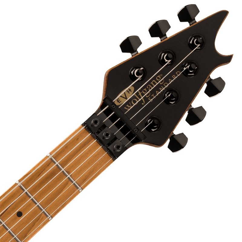 EVH Wolfgang WG Standard (Pelham Blue/Baked Maple Fingerboard) 画像4