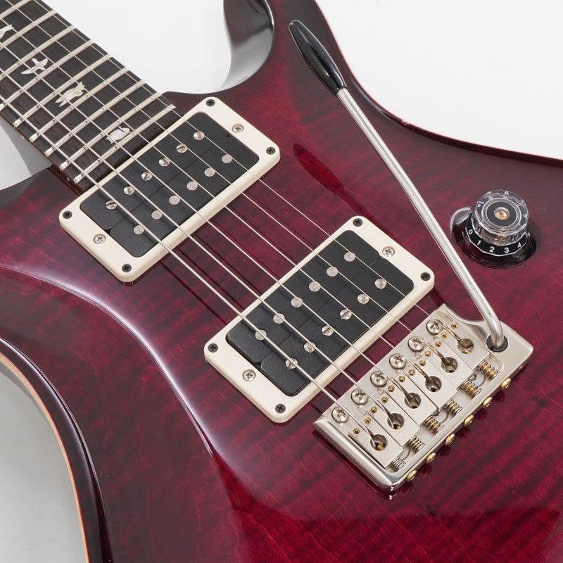 P.R.S. USED 中古 Custom24 Angry Larry 2019【SN. 19 028858】 画像7