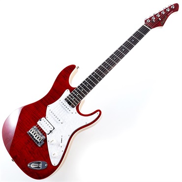 Aria Pro II ソフトケース＆トレモロ付き　送料込み Aria Pro II アンプ付き入門セット IGB-STD MRS