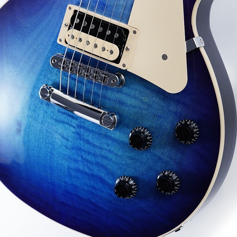 Gibson USA Exclusive Les Paul Traditional Pro V AAA Flame