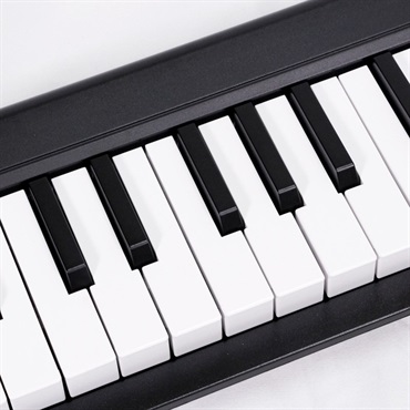 KORG USED 中古 microKEY2-49(コルグ)(USB・MIDIコントローラー)(MIDIキーボード) 画像2