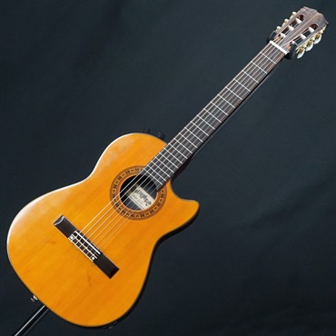 unknown USED 中古 GALLAGHER AN2 【SN.8857584】 ｜イケベ楽器店