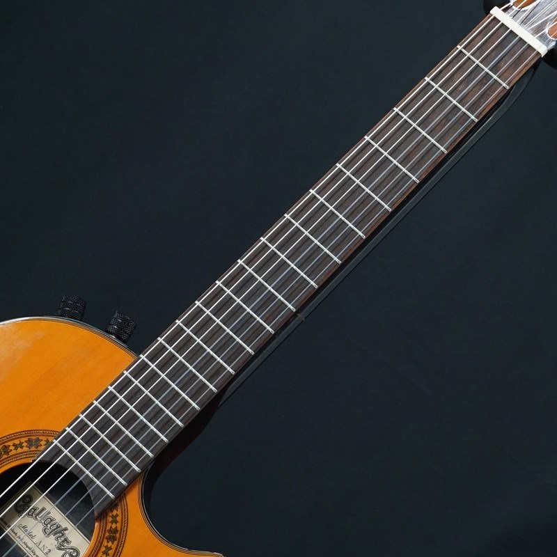 unknown USED 中古 GALLAGHER AN2 【SN.8857584】 ｜イケベ楽器店