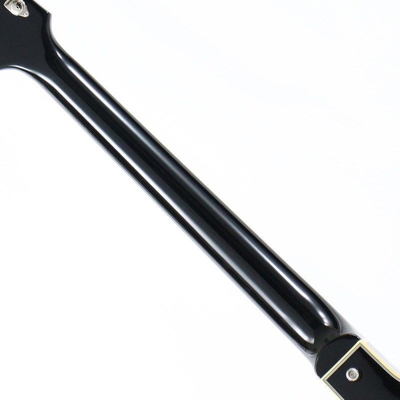 Duesenberg DTF-BK Starplayer TV Fullerton (Black) 【生産完了品】 画像6