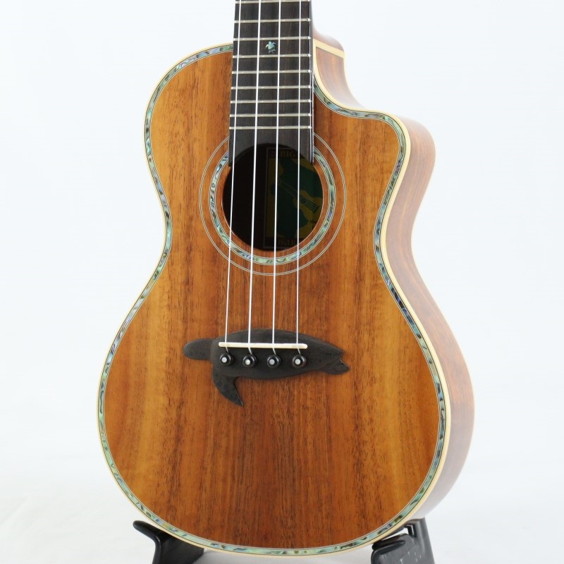 BIG ISLAND USED 中古 KSX-CTG Concert ビッグアイランド 画像1
