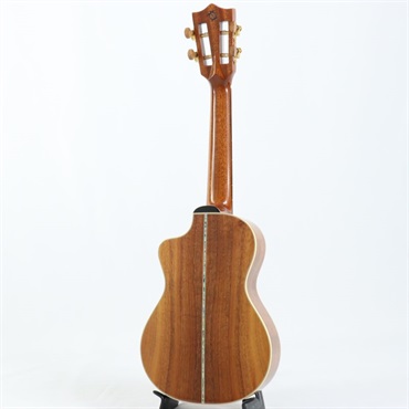 BIG ISLAND USED 中古 KSX-CTG Concert ビッグアイランド 画像2