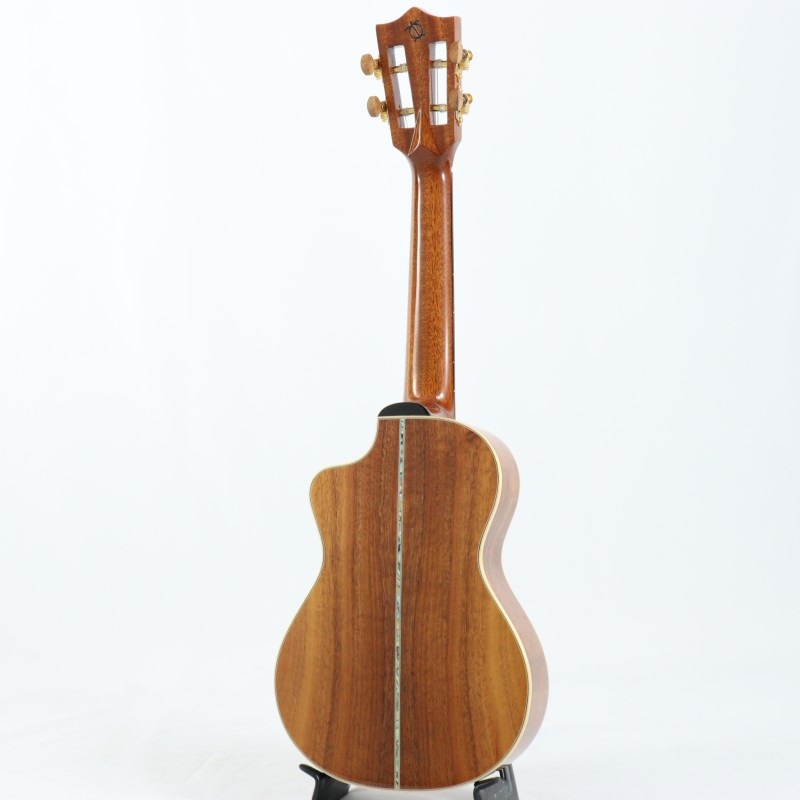 BIG ISLAND USED 中古 KSX-CTG Concert ビッグアイランド 画像2