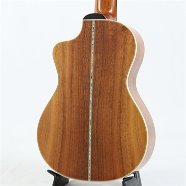 BIG ISLAND USED 中古 KSX-CTG Concert ビッグアイランド 画像3