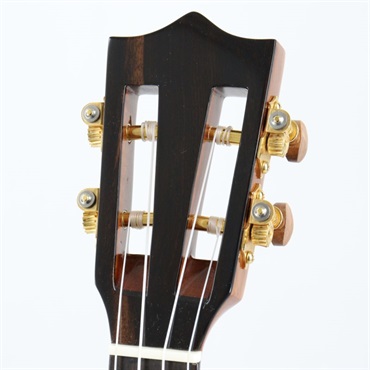 BIG ISLAND USED 中古 KSX-CTG Concert ビッグアイランド 画像4
