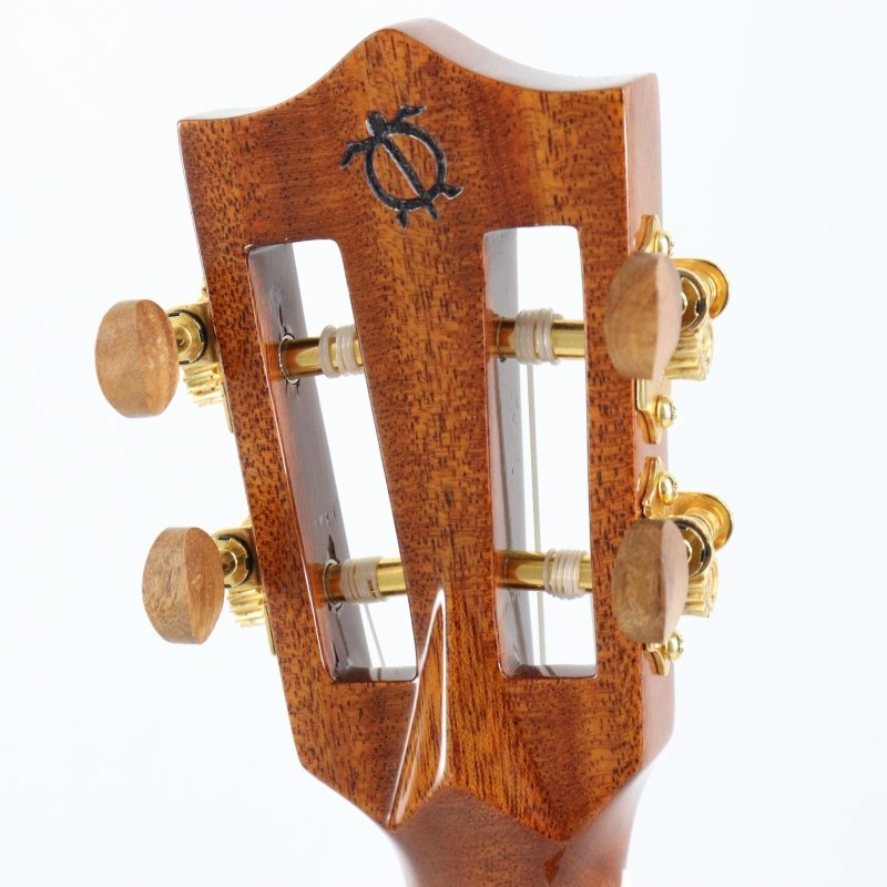 BIG ISLAND USED 中古 KSX-CTG Concert ビッグアイランド 画像5